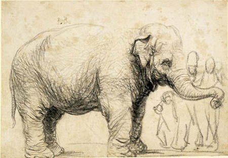 "An Elephant". Rembrandt, Circa 1637. Black chalk and charcoal