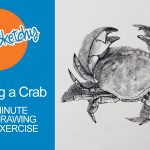 How to Sketch a Crab - 30 Minute Drawing Exercsie