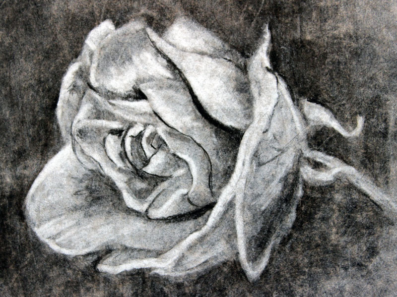 How to Draw with Charcoal - Charcoal Drawing Techniques