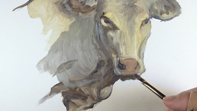 Painting the snout of the cow