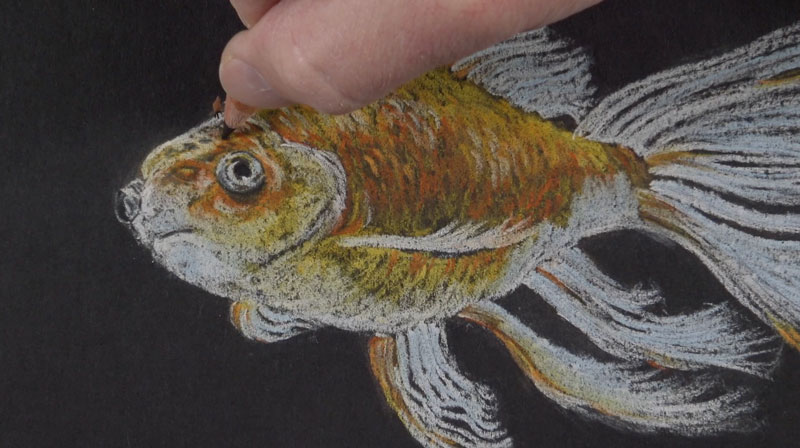 Adding details to the fish with a black pastel pencil