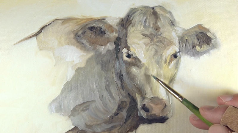 Finishing the highlights and shadows on the cow