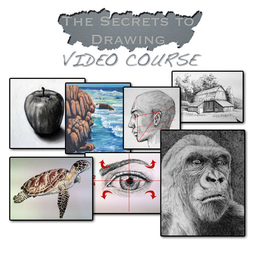 Drawing Courses