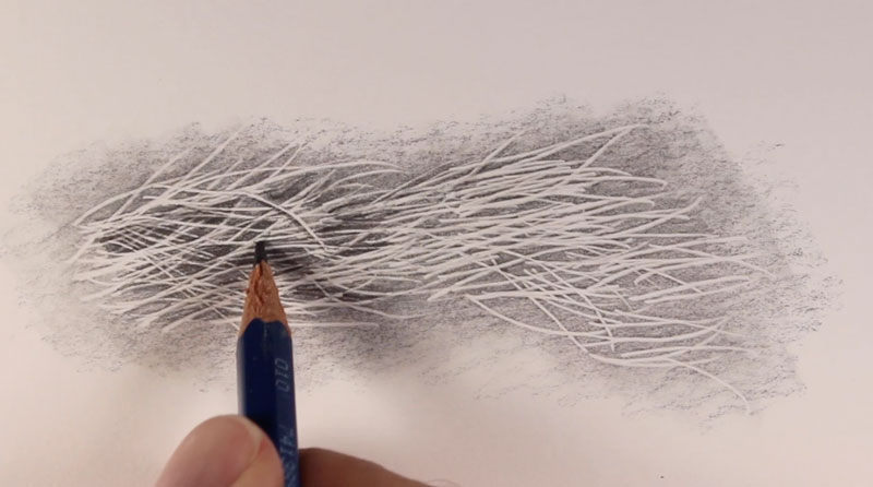 Softer graphite is used to devlelop shadows in the fur