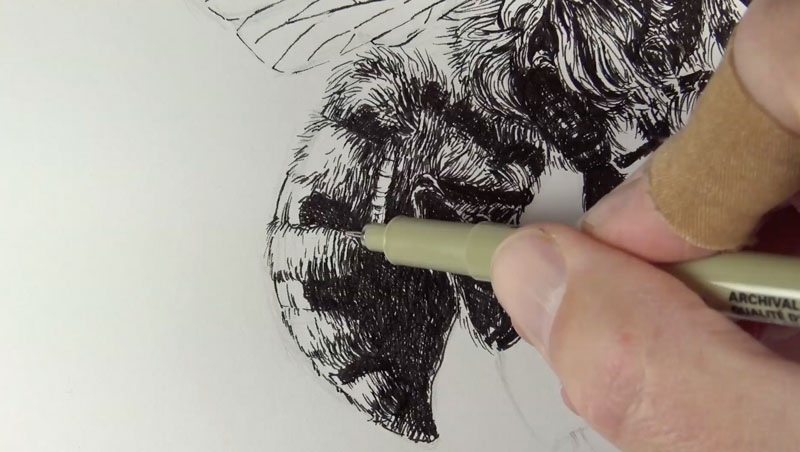 Drawing the pattern on the back of the bee