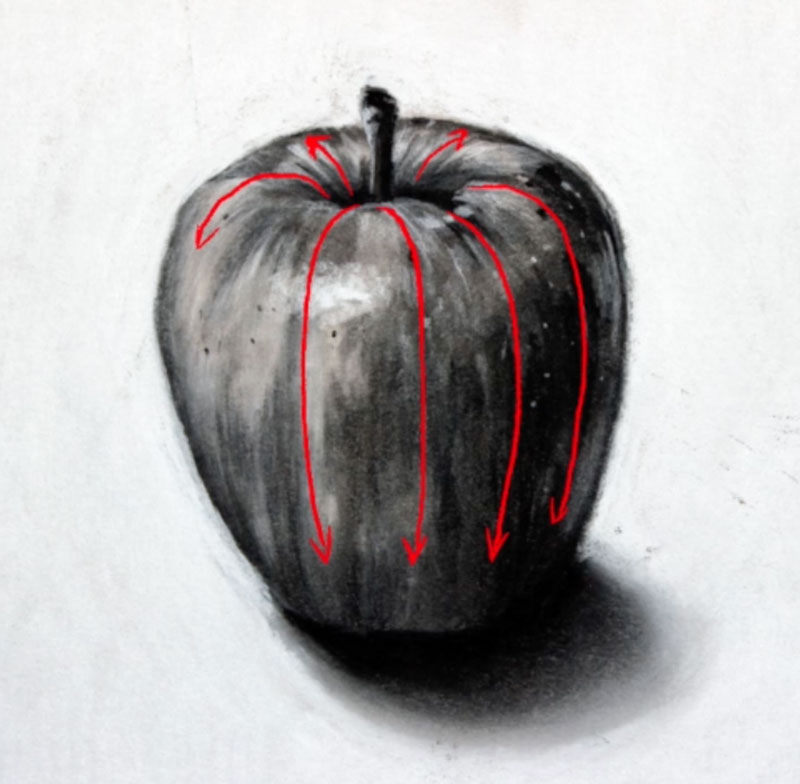 contour lines in art with a apple using pen