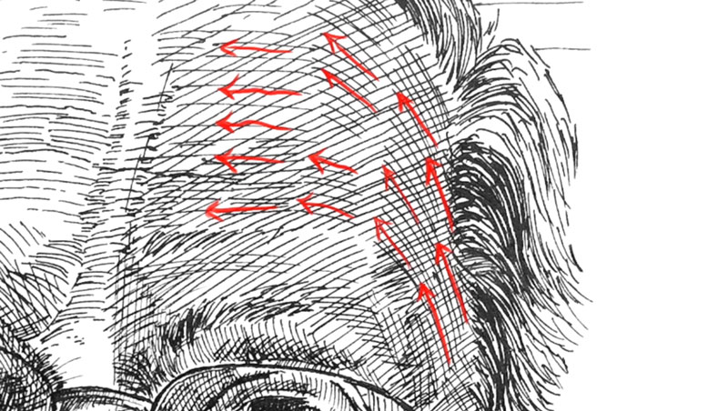 cross contour lines in art