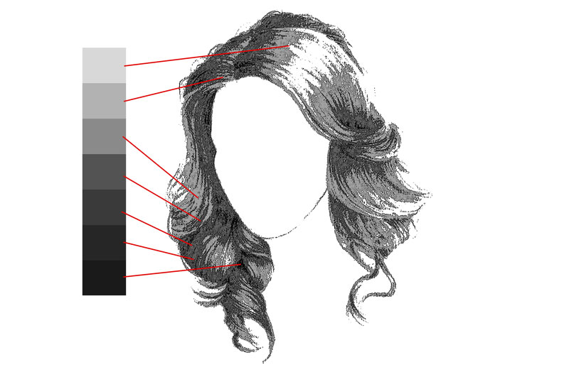 Drawing the form of the hair