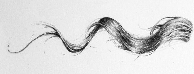 Drawing of a strand of hair