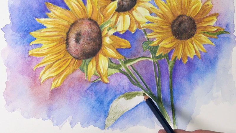 Finishing the stems and leaves with watercolor pencils