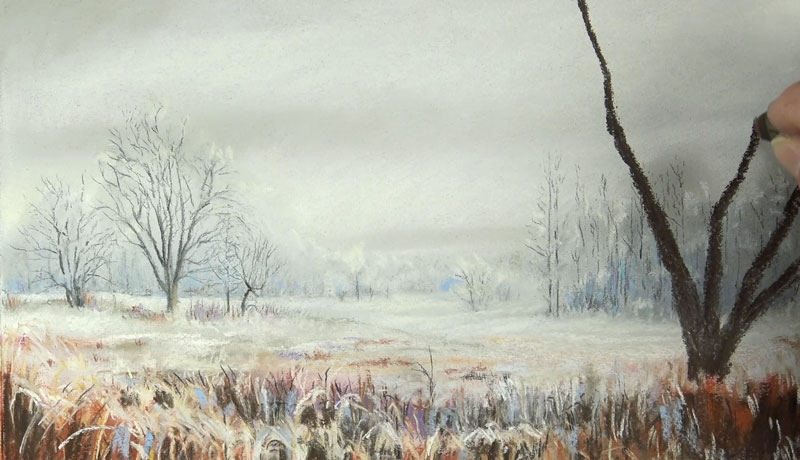 Drawing a winter tree with pastels