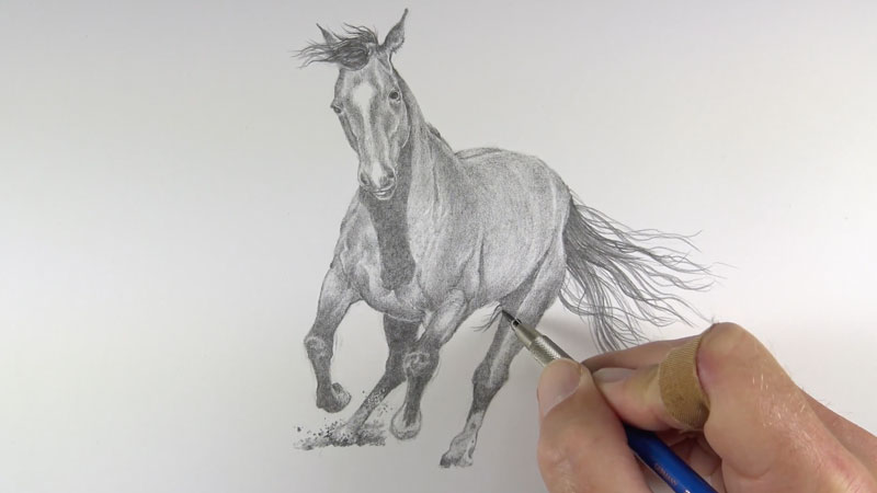 Drawing the tail of the horse