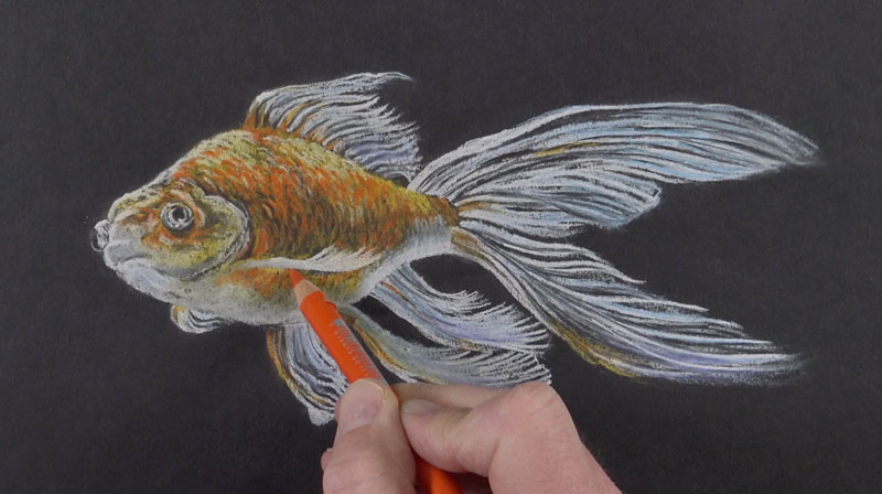 Drawing in final details and increasing intensity of color with pastel pencils