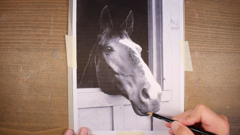 Desenhe uma transferência de cavalo