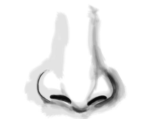 Easy Nose Drawing