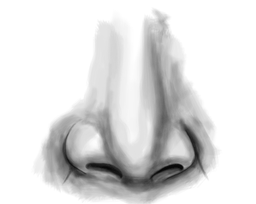 Nose Draw