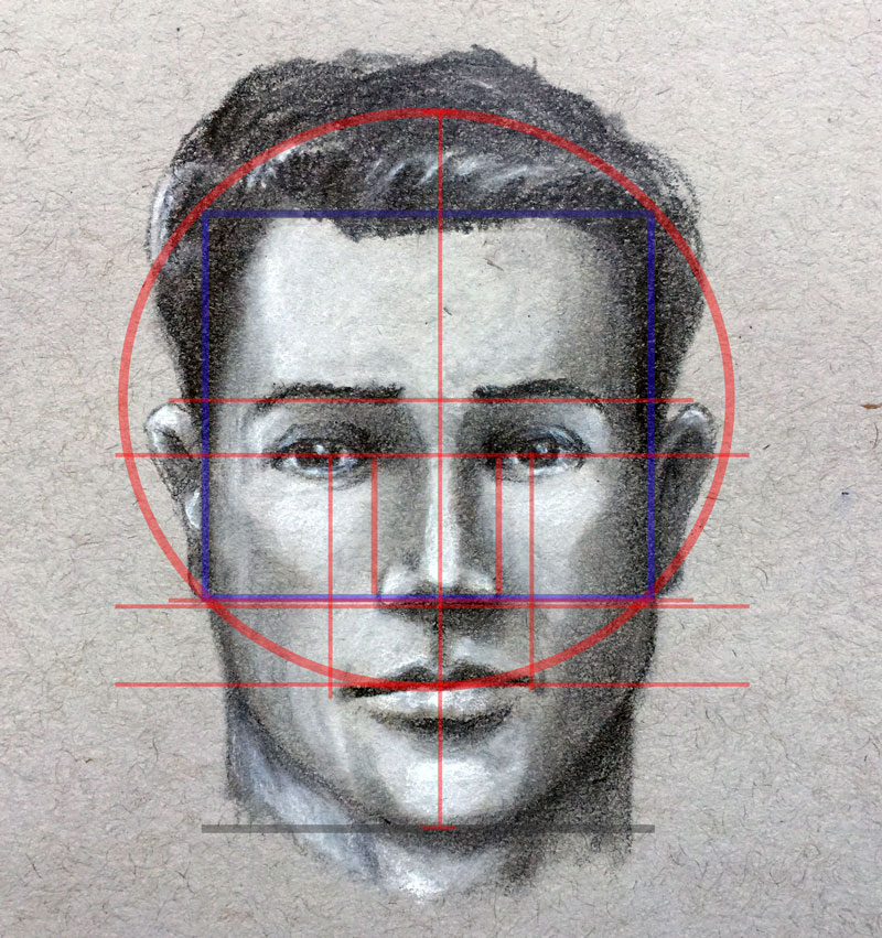 Human Face Parts Sketch / Basic Proportions of the Face - YouTube