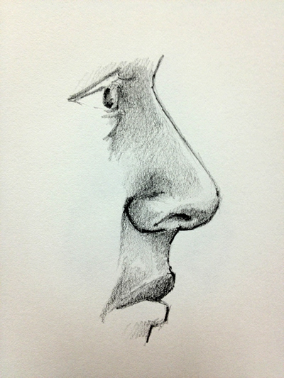 Nose in Profile drawing