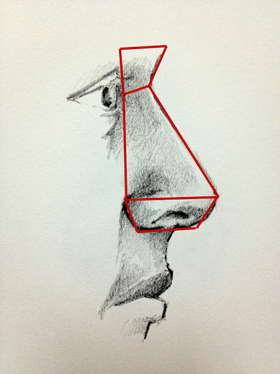 Nose from side view with red planes
