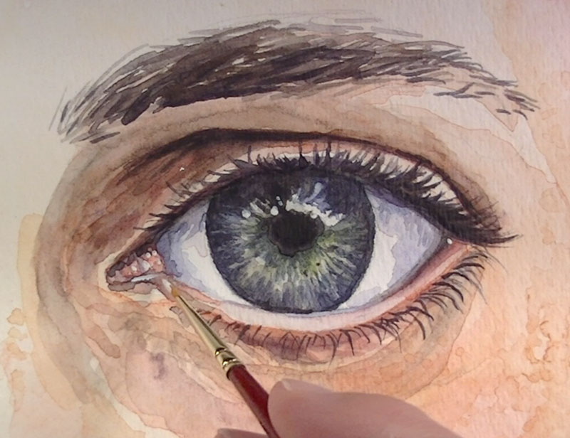 Highlights are added to make the eye look wet