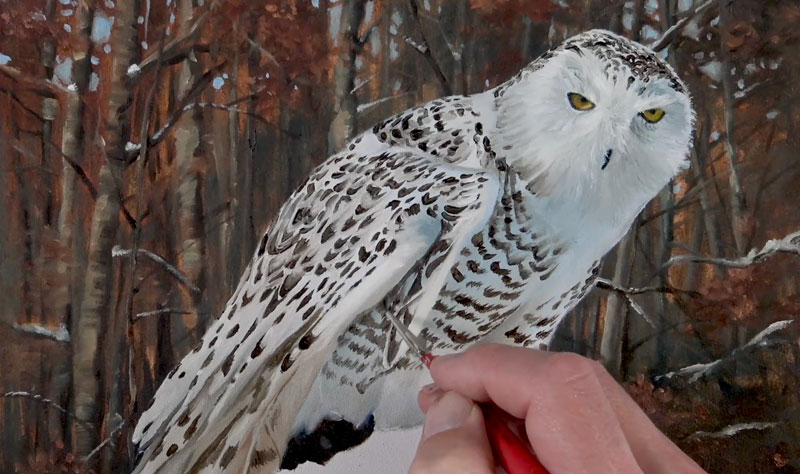 Painting the Pattern of the Owl