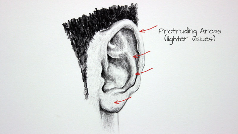Protruding areas on the ear