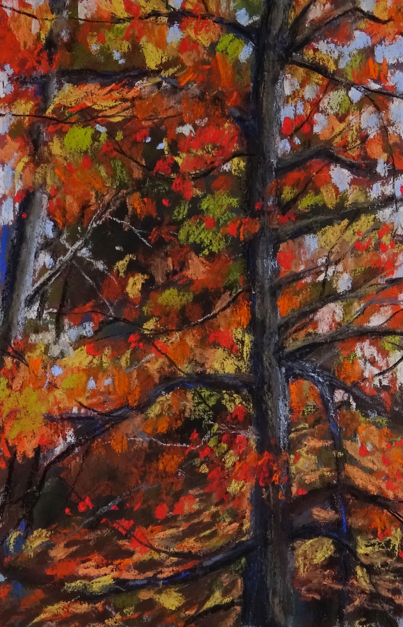 Pastel Drawing of an Autumn Tree