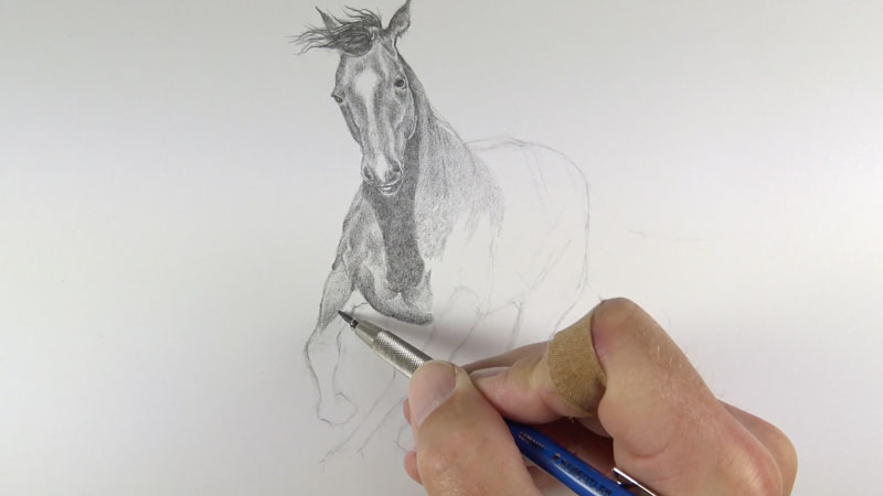 Shading the body of the horse