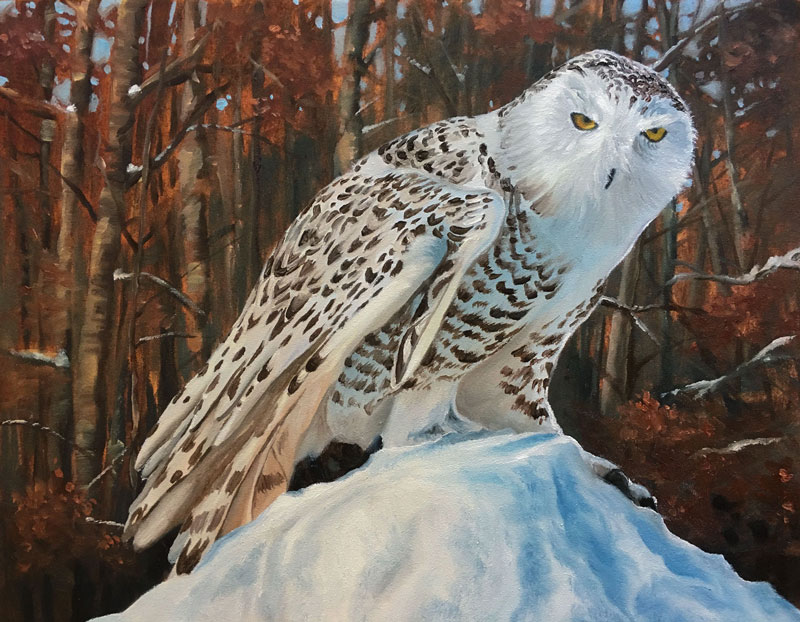 Oil Painting of a Snowy Owl