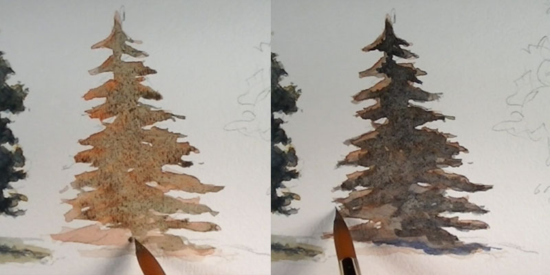 How to paint a pine tree - intial washes