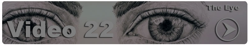 The Secrets to Drawing The Eye