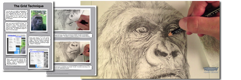 The Secrets to Drawing Thumb