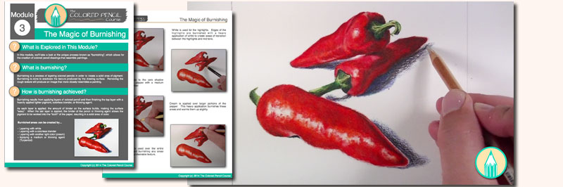 Colored Pencil Course