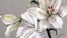Pastel pencils still life lesson - Flowers