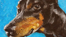 Dog portrait with oil pastels excerpts