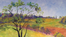 PanPastel Exploration