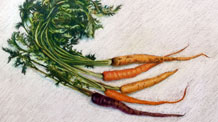 Pastel Pencils Lesson Carrots