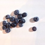 Blueberries Photo Reference