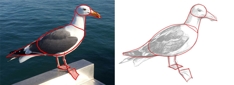 7 Drawing Techniques For Accuracy