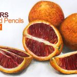 Markers and Colored Pencils Blood Oranges Time Lapse