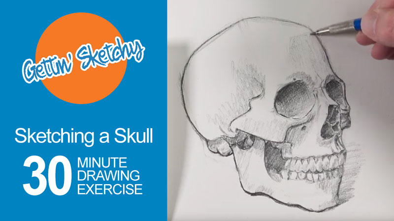 Sketching a Skull - 30 Minute Drawing Exercise