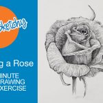 How to sketch a rose with pencil
