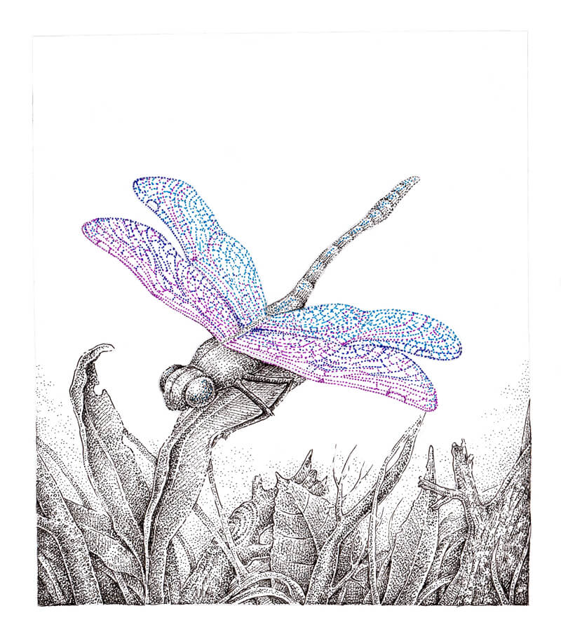 Stippled Ink Pen Art : stippling