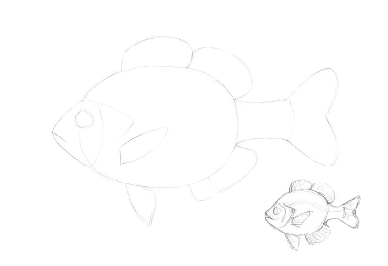 How to Draw a Fish | Step-by-step Guide to Draw a Fish