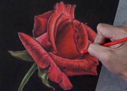 How to Draw a Rose