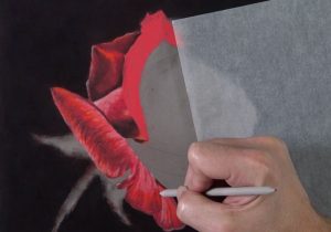 How To Draw A Rose