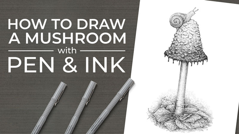 Pencil Drawing Kit [FREE NATURE DRAWING LESSON]