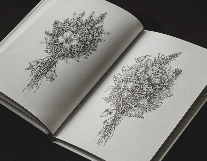 Nature drawings in a sketchbook