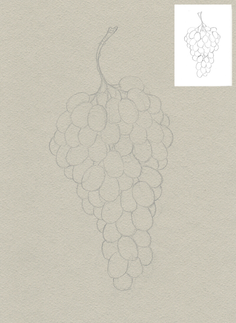 Grapes  rdrawing