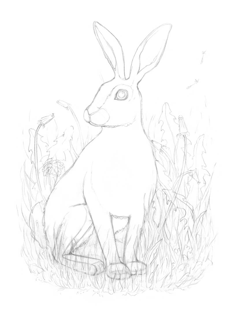 Drawing the elements in the foreground in front of the rabbit